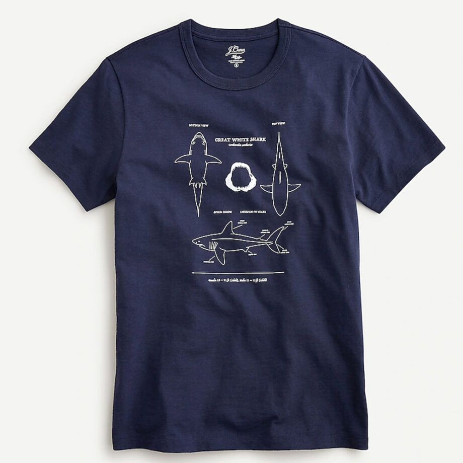 Navy T-shirt with great white shark design.